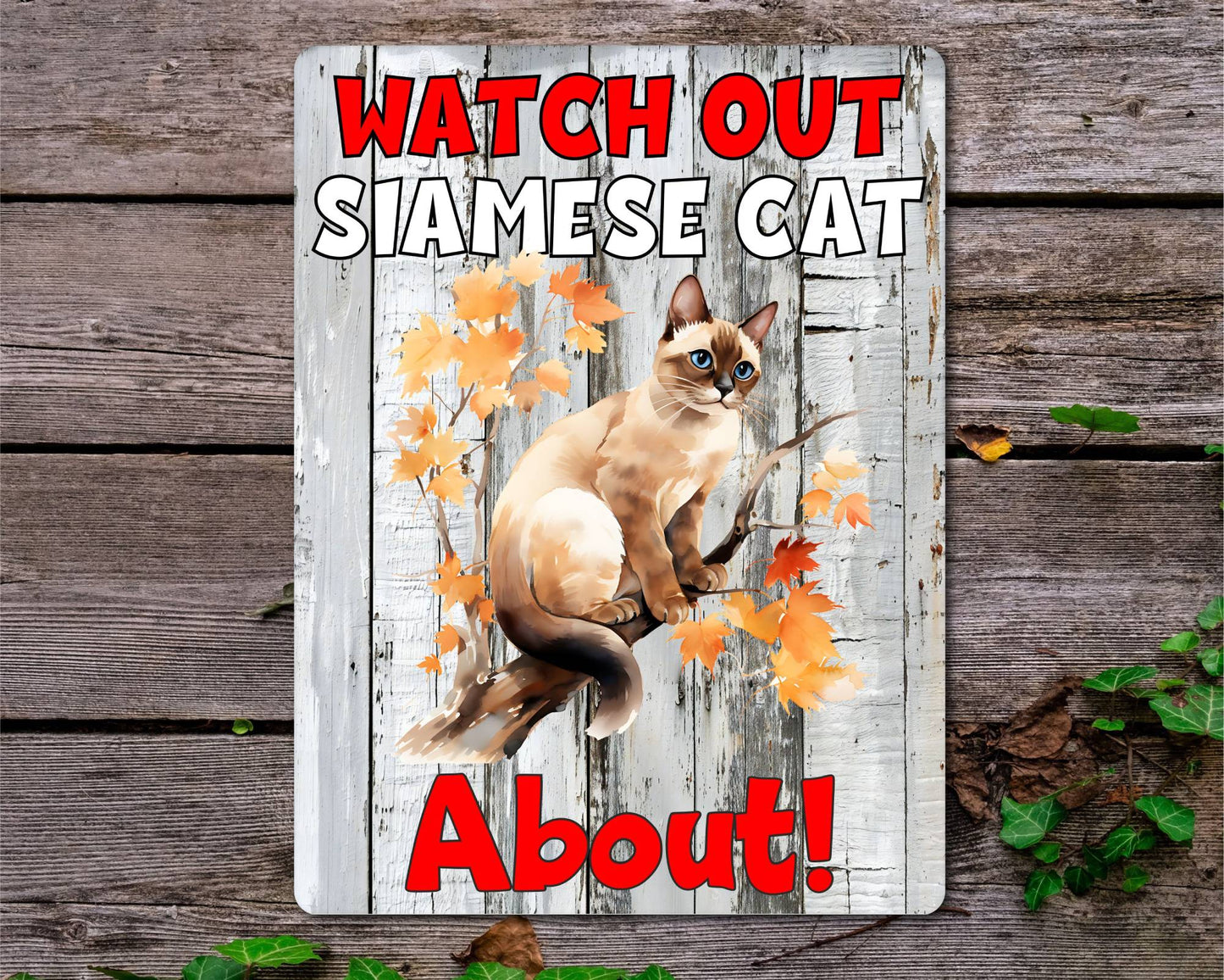 Kitten Metal Sign Gift - Watch Out Siamese Cat About - Cute Fun Novelty Family Pet Aluminium Present