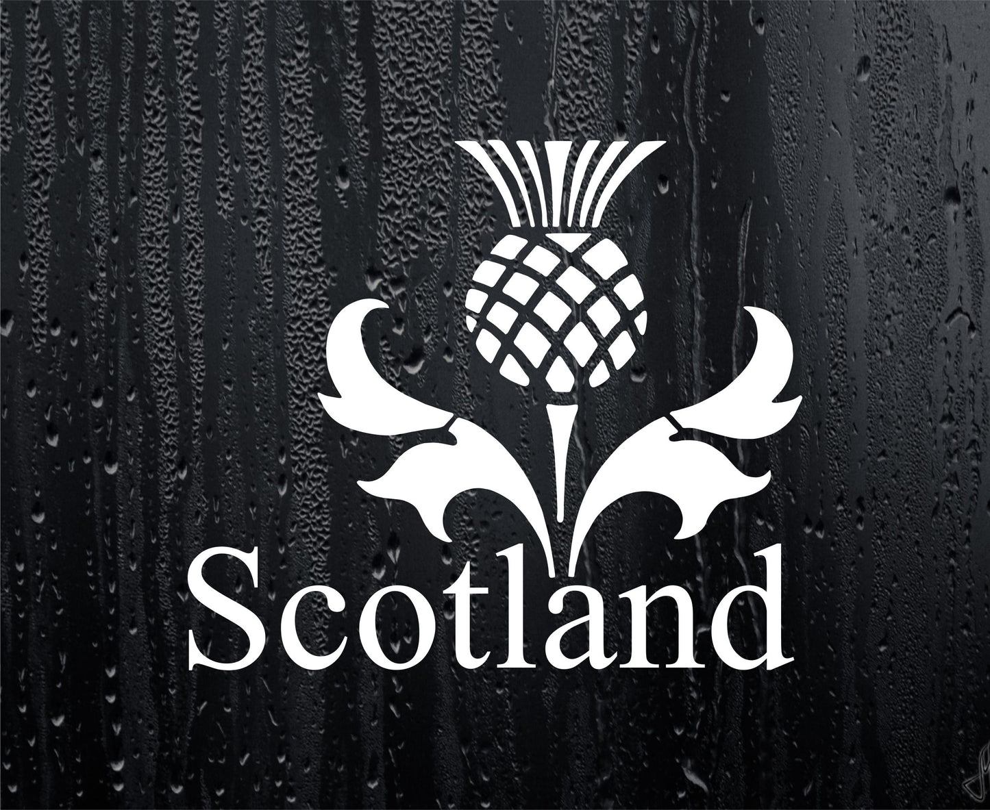 Scottish Scotland Thistle Car Van Sticker Window Boot Bumper Laptop Mirror Decal