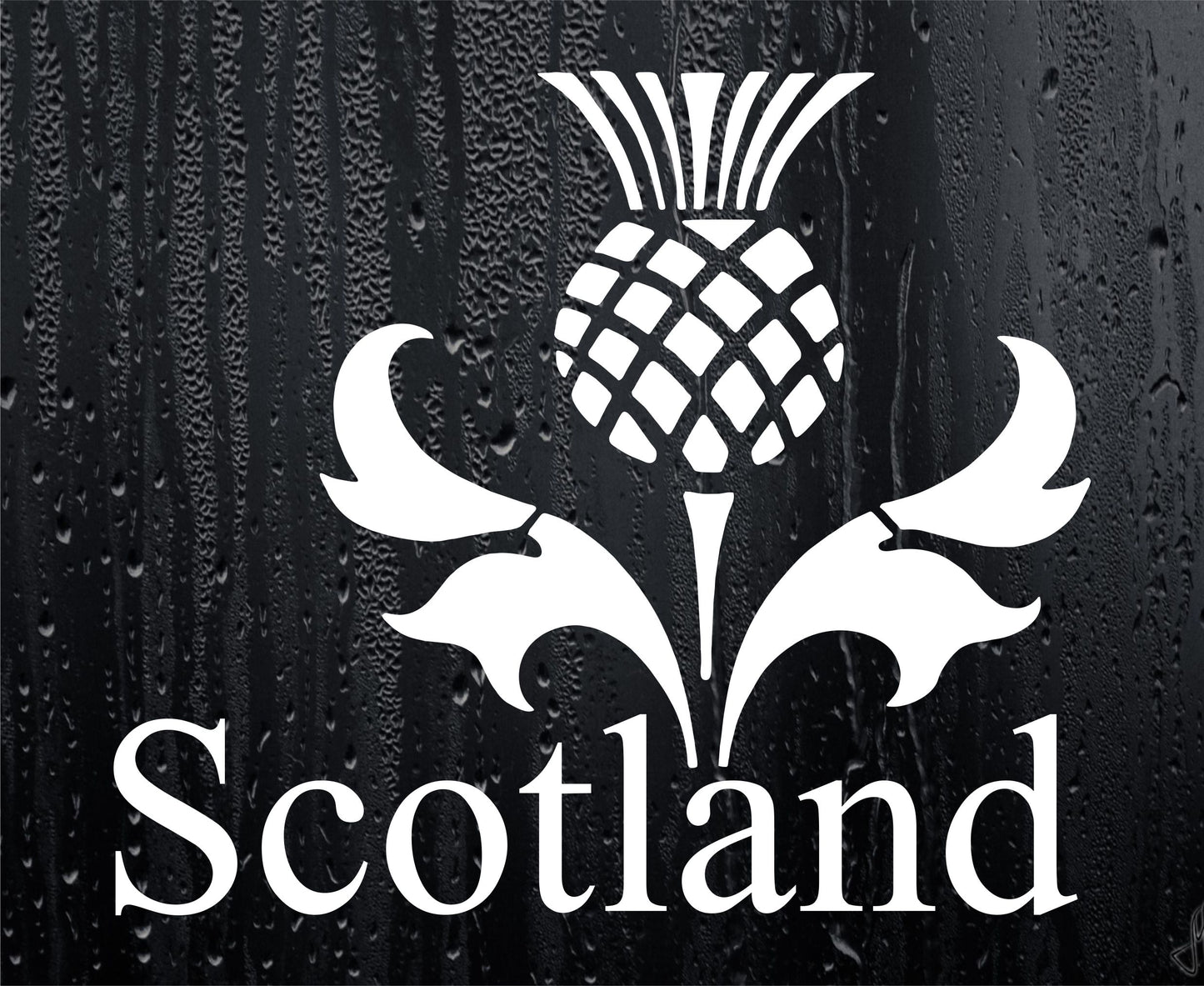 Scottish Scotland Thistle Car Van Sticker Window Boot Bumper Laptop Mirror Decal