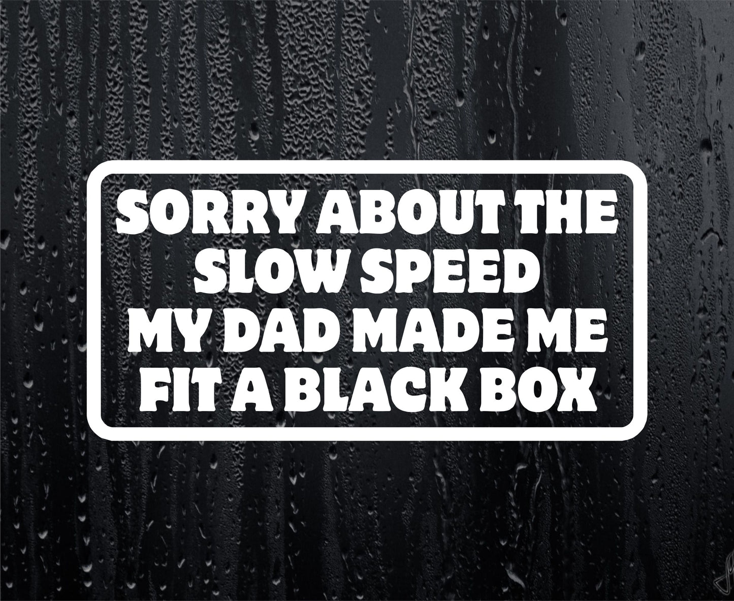 Car Sticker Sorry About The Slow Speed My Dad Made Me Fit A Black Box Window Bumper Door Young Driver Decal Present