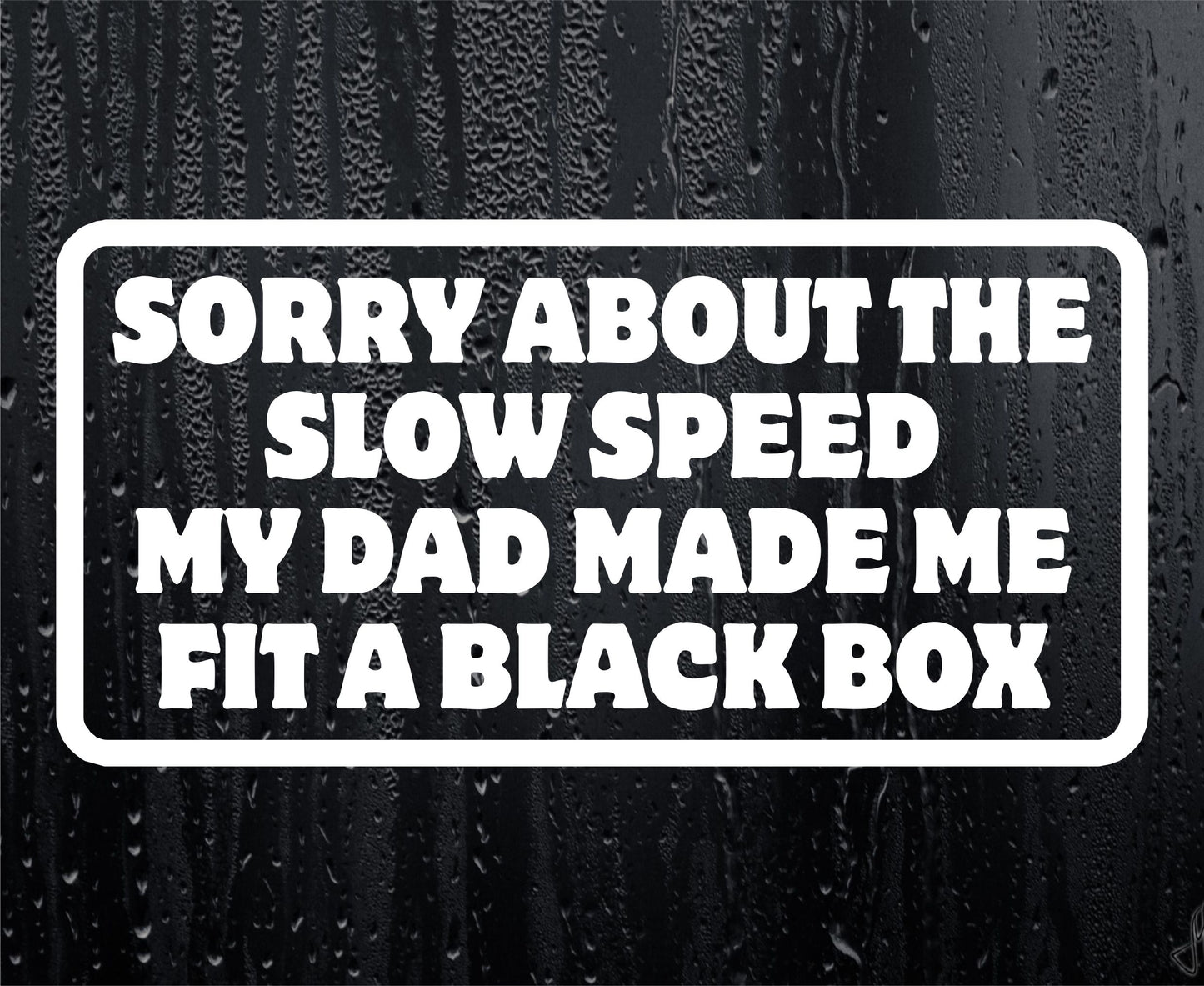 Car Sticker Sorry About The Slow Speed My Dad Made Me Fit A Black Box Window Bumper Door Young Driver Decal Present