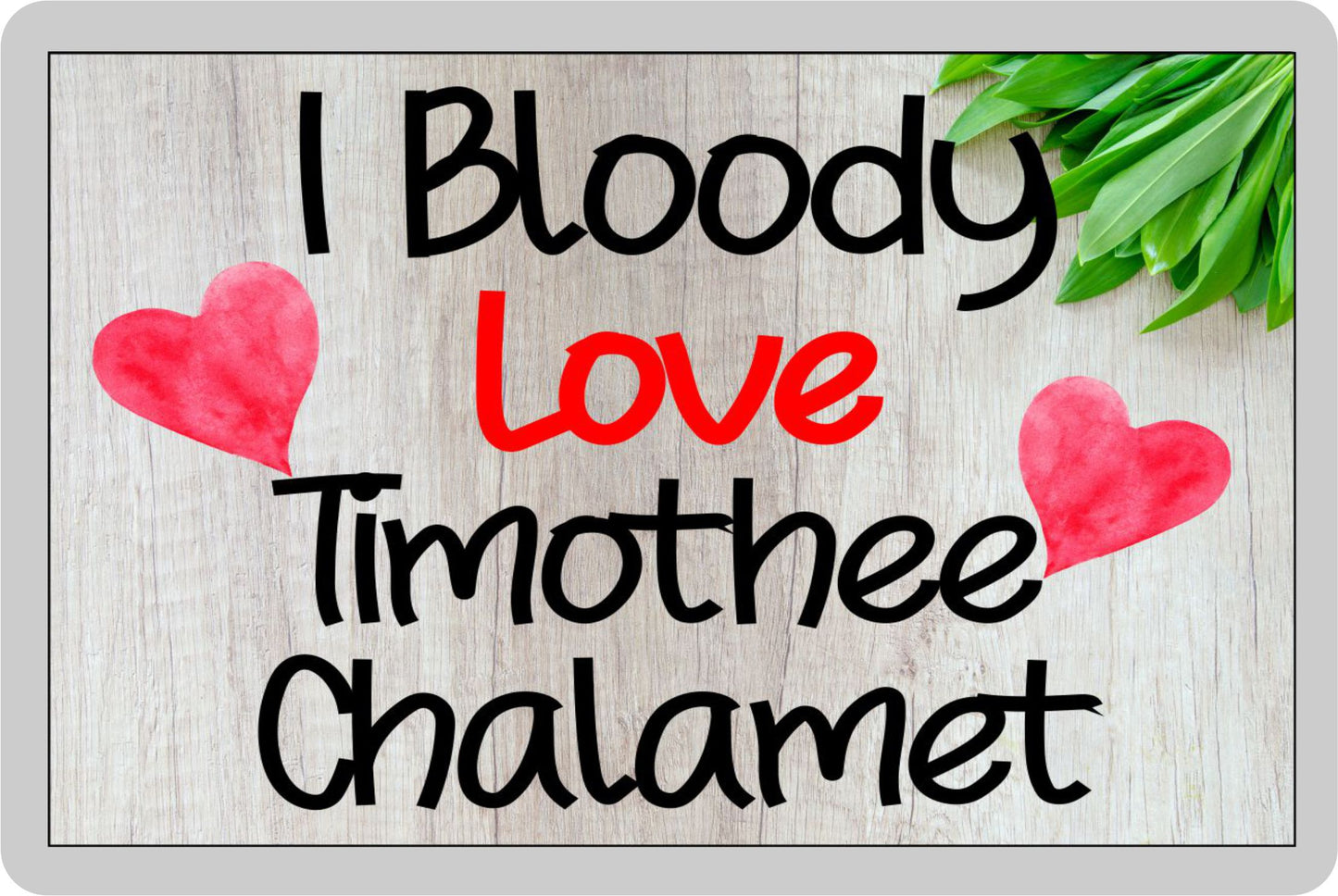 Timothee Chalamet Fridge Magnet Gift - I Bloody Love - Funny Cute Movie Star Novelty Present