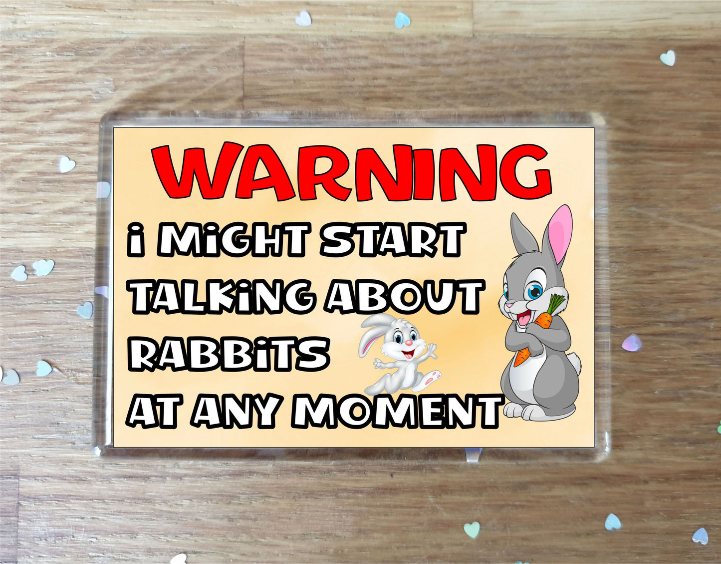 Rabbit Fridge Magnet Gift - Warning I Might Start Talking About * At Any Moment - Fun Cute Novelty Animal Present