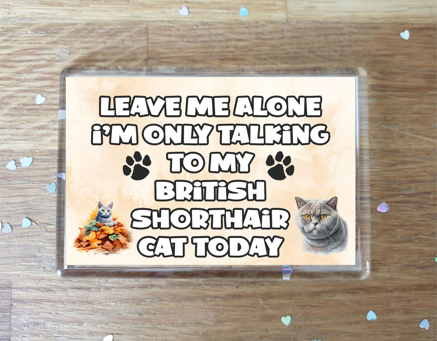 Cat Fridge Magnet Gift - Leave Me Alone I'm Only Talking To My British Shorthair Cat Today - Novelty Fun Cute Pet Owner Present (Copy)