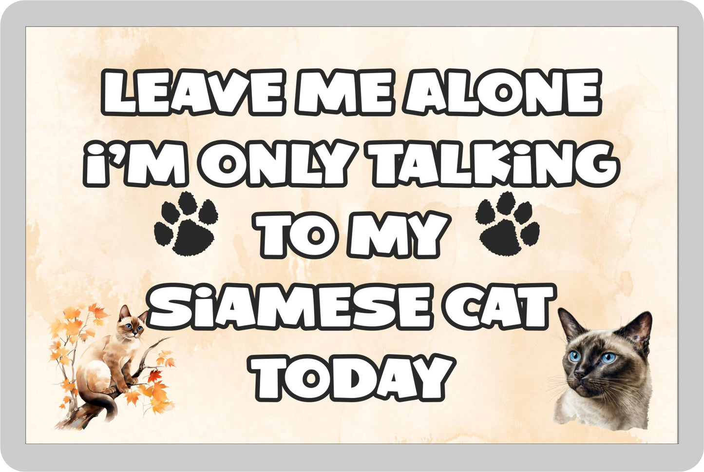 Cat Fridge Magnet Gift - Leave Me Alone I'm Only Talking To My Siamese Cat Today - Novelty Fun Cute Pet Owner Present