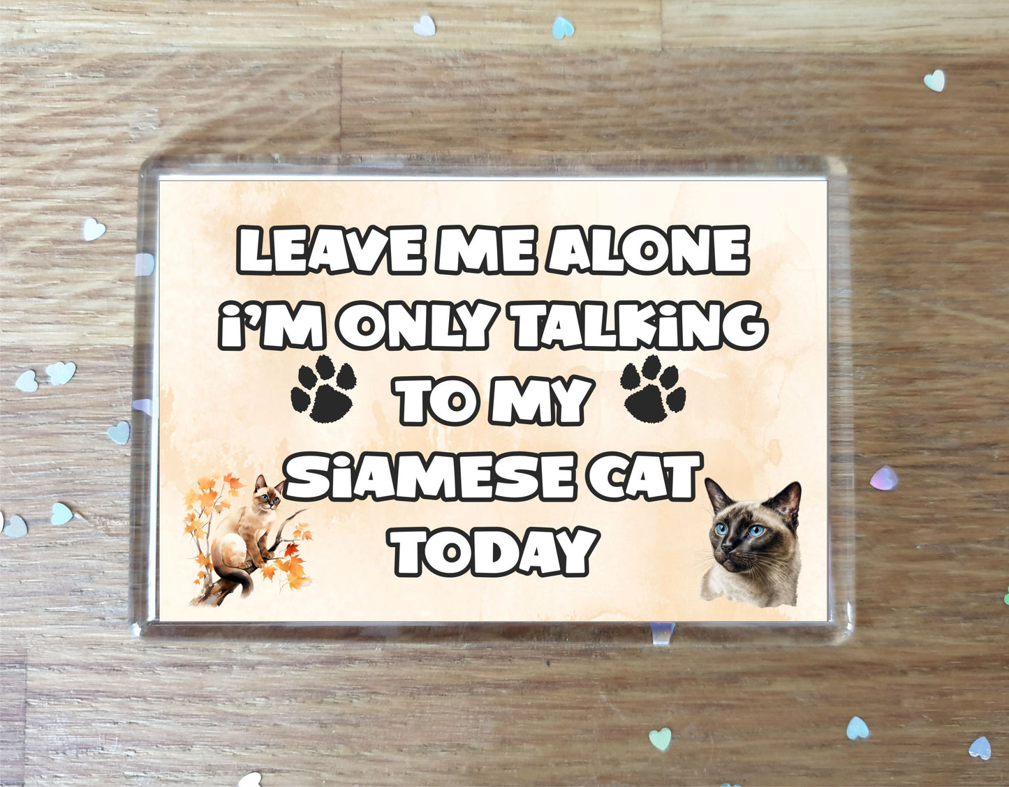 Cat Fridge Magnet Gift - Leave Me Alone I'm Only Talking To My Siamese Cat Today - Novelty Fun Cute Pet Owner Present