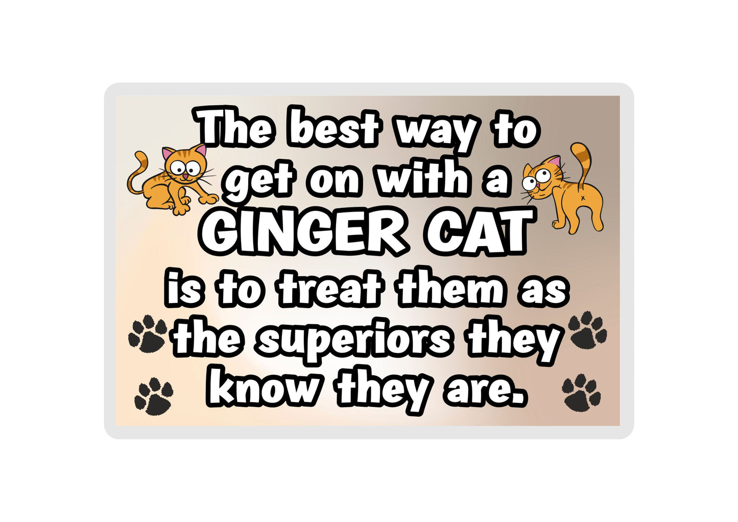 Ginger Cat Fridge Magnet Gift -The best Way To Get On With A - Novelty Fun Cute Pet Owner Birthday Christmas Present
