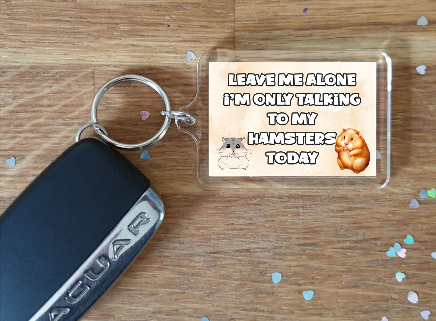 Hamster Keyring Gift - Leave Me Alone I'm Only Talking To My Hamsters Today - Fun Cute Novelty Animal Present