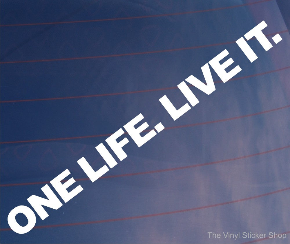 2x Car Stickers One Life Live It Funny Joke Off-Road 4x4 4WD Off Road Truck Bumper Boot Door Window Decal Large Size