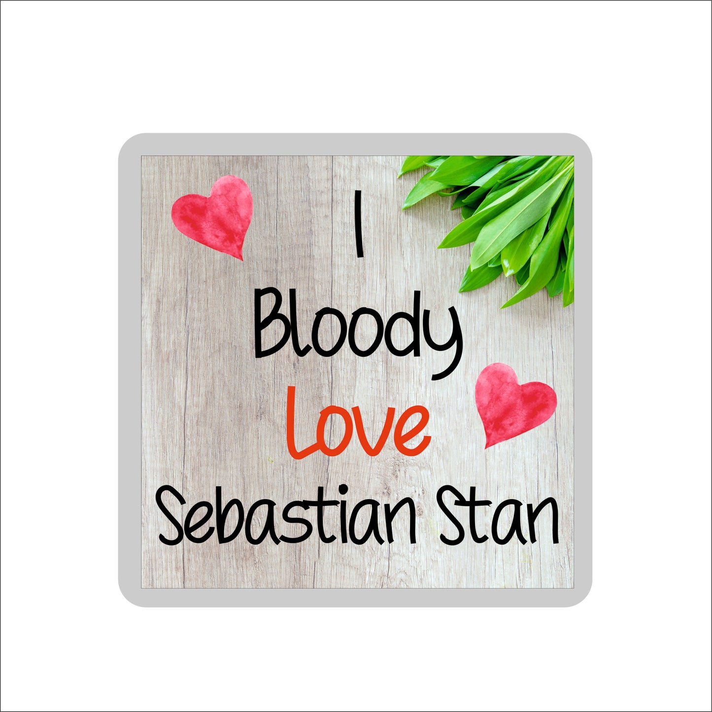Sebastian Stan Coaster - I Bloody Love Sebastian Stan - Cute Fun Novelty Birthday Gift