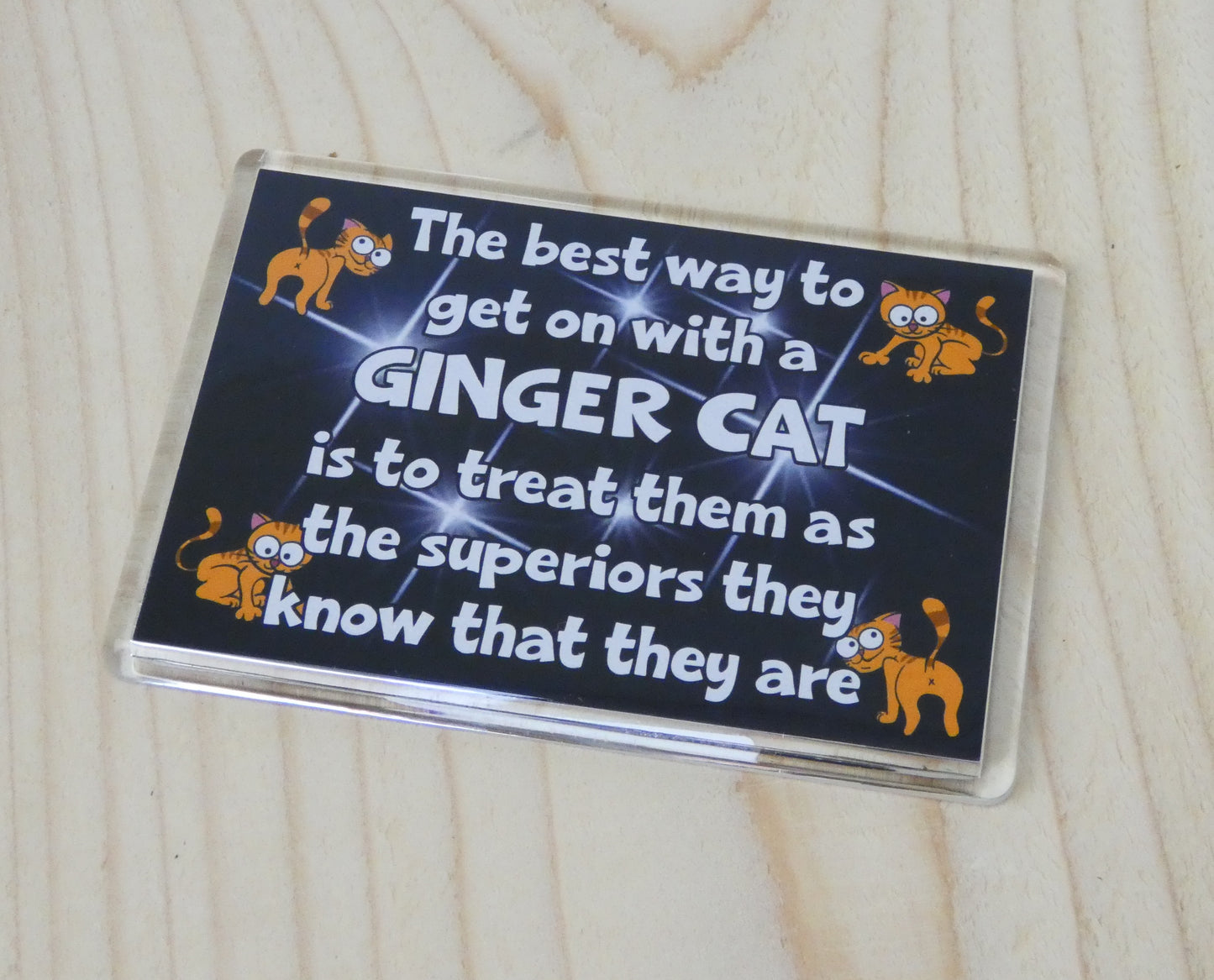 Ginger Cat Gift Fridge Magnet - The Best Way To Get Along - Nice Fun Cute Pet Lover Xmas Birthday Present