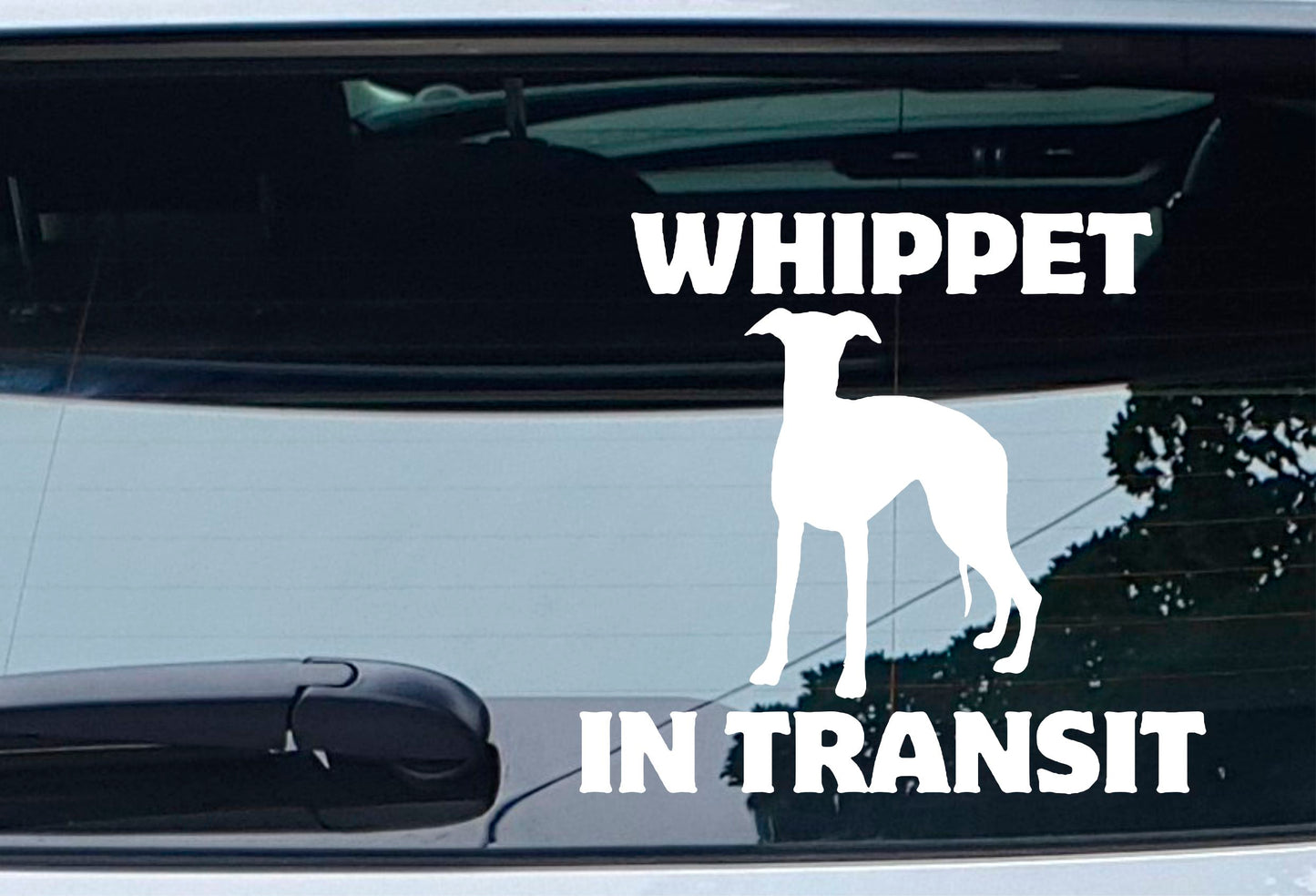 Car Sticker Whippet In Transit Nice Fun Cute Novelty Warning Van Window Bumper Boot Door Decal