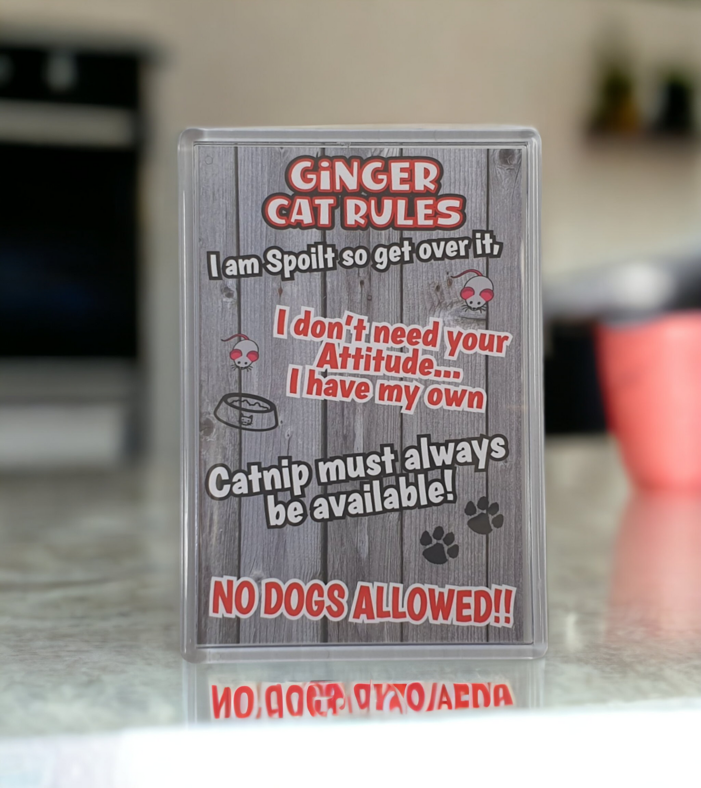 Ginger Cat Fridge Magnet Gift - Cat Rules - I Am Spoilt So Get Over It - Novelty Fun Cute Pet Owner Birthday Christmas Present