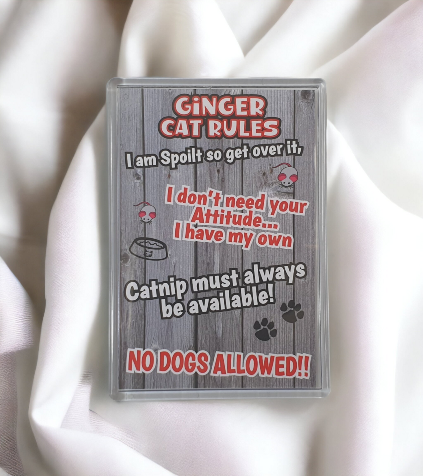 Ginger Cat Fridge Magnet Gift - Cat Rules - I Am Spoilt So Get Over It - Novelty Fun Cute Pet Owner Birthday Christmas Present