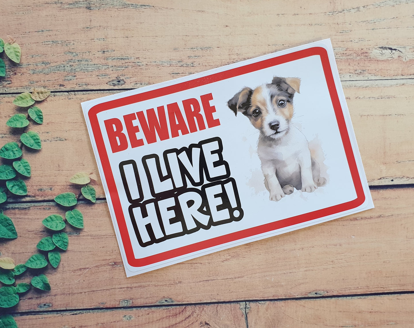 Jack Russell Sticker - Beware I Live Here - Cute House Home Window Door Porch Dog Warning Decal