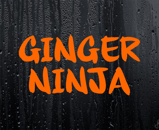 Car Sticker Ginger Ninja Fun Nice Cute Novelty Redhead Van Window Bumper Boot Door Decal