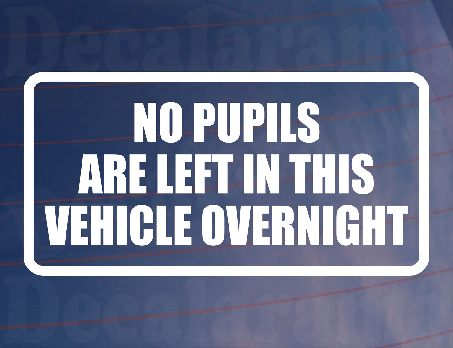 Car Sticker No Pupils Are Left In Vehicle Overnight Funny Driving School Window Bumper Boot Door Decal Gift Present