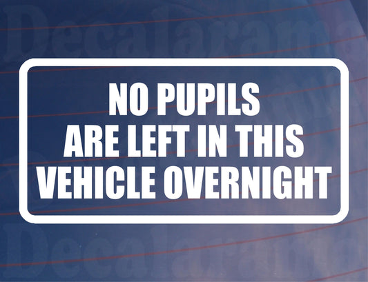 Car Sticker No Pupils Are Left In Vehicle Overnight Funny Driving School Window Bumper Boot Door Decal Gift Present