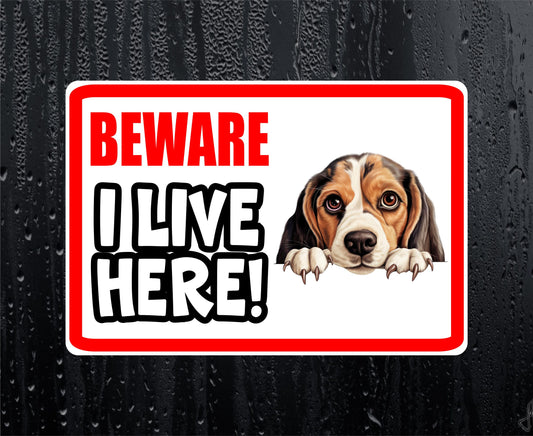 Beagle Sticker - Beware I Live Here - Cute House Home Window Door Porch Dog Warning Decal
