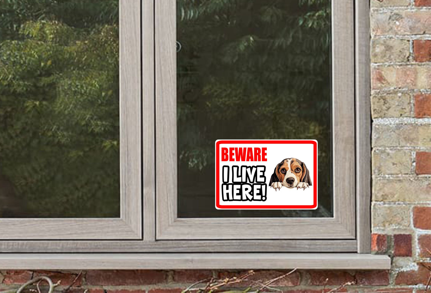 Beagle Sticker - Beware I Live Here - Cute House Home Window Door Porch Dog Warning Decal