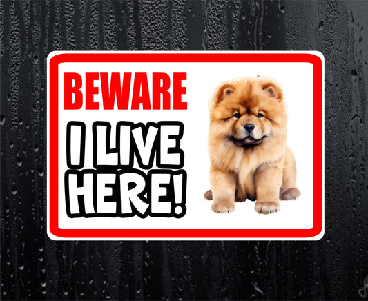 Chow Chow Sticker - Beware I Live Here - Cute House Home Window Door Porch Dog Warning Decal