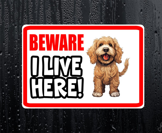 Cockapoo Sticker - Beware I Live Here - Cute House Home Window Door Porch Dog Warning Decal