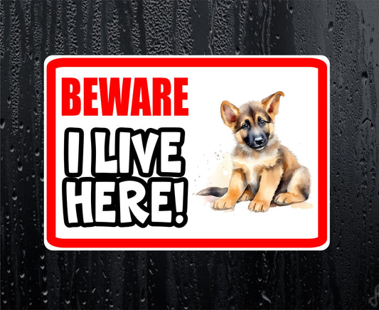 German Shepherd Sticker - Beware I Live Here - Cute House Home Window Door Porch Dog Warning Decal