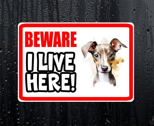 Greyhound Sticker - Beware I Live Here - Cute House Home Window Door Porch Dog Warning Decal