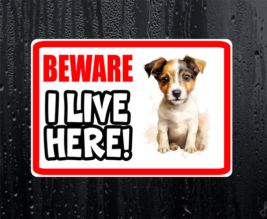 Jack Russell Sticker - Beware I Live Here - Cute House Home Window Door Porch Dog Warning Decal