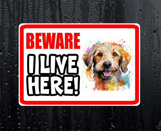 Labradoodle Sticker - Beware I Live Here - Cute House Home Window Door Porch Dog Warning Decal