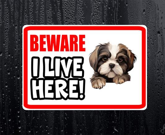 Shih Tzu Sticker - Beware I Live Here - Cute House Home Window Door Porch Dog Warning Decal