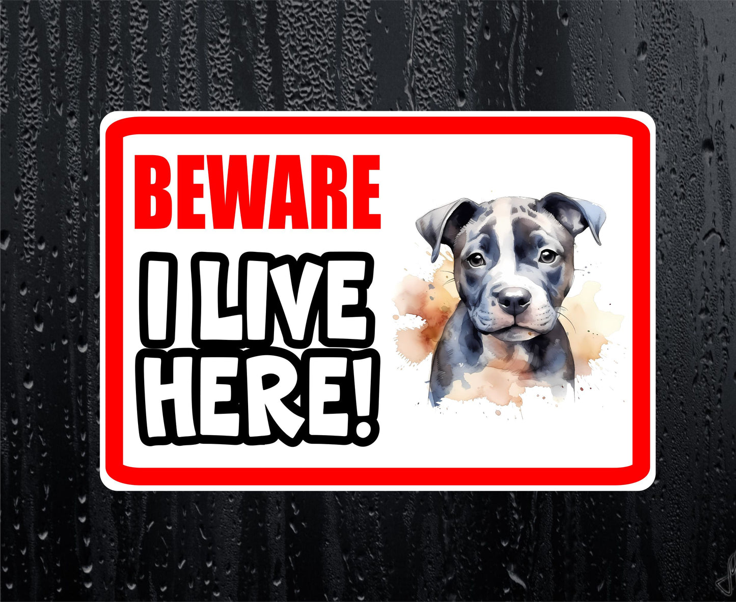 Staffy Sticker - Beware I Live Here - Cute House Home Window Door Porch Dog Warning Decal