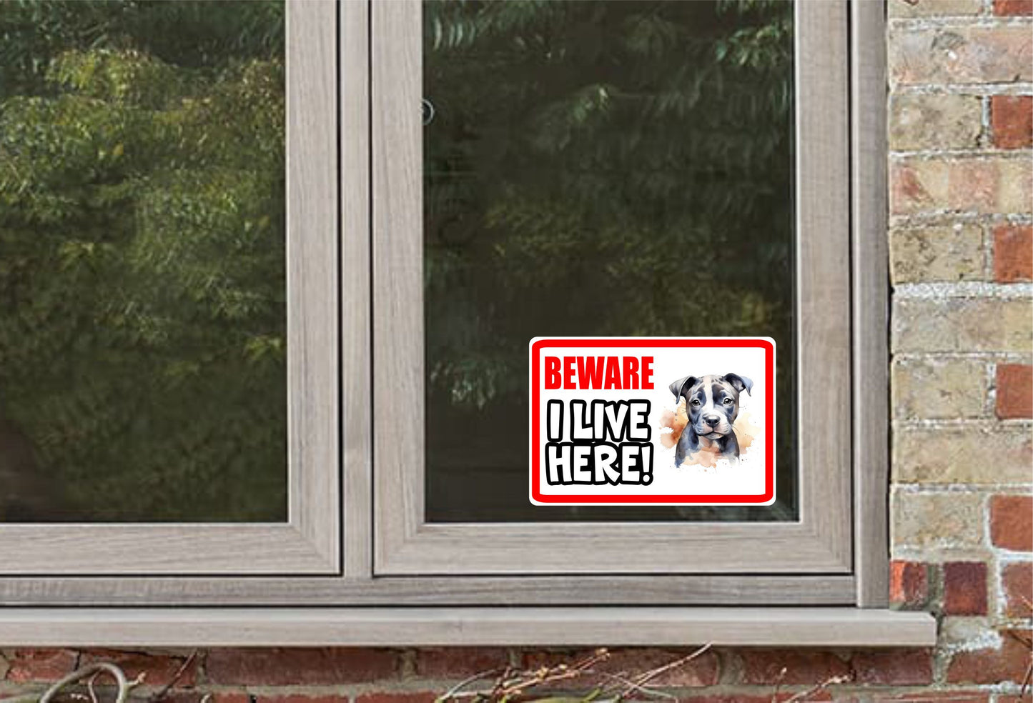 Staffy Sticker - Beware I Live Here - Cute House Home Window Door Porch Dog Warning Decal