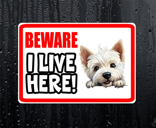 Westie Sticker - Beware I Live Here - Cute House Home Window Door Porch Dog Warning Decal