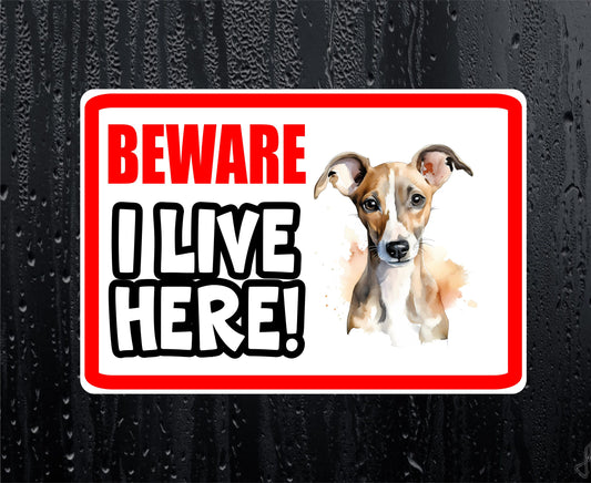 Whippet Sticker - Beware I Live Here - Cute House Home Window Door Porch Dog Warning Decal