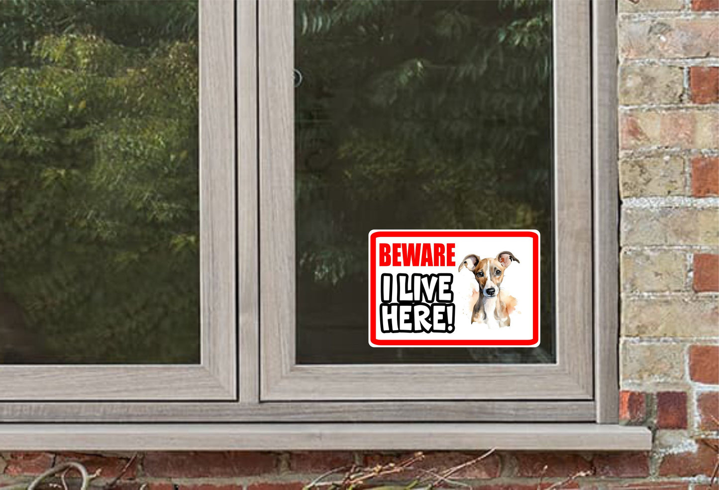 Whippet Sticker - Beware I Live Here - Cute House Home Window Door Porch Dog Warning Decal