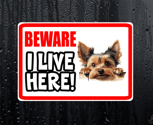 Yorkshire Terrier Sticker - Beware I Live Here - Cute House Home Window Door Porch Dog Warning Decal