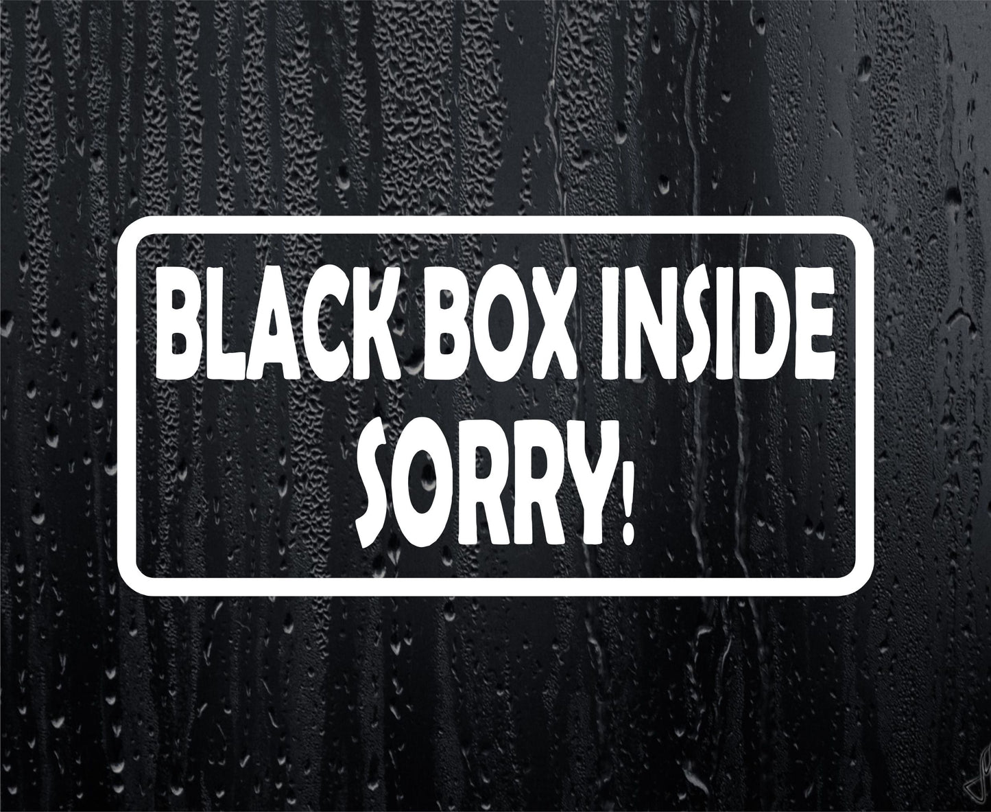 Car Sticker Black Box Inside Sorry Cute Novelty Bumper Van Door Young Driver Decal Present