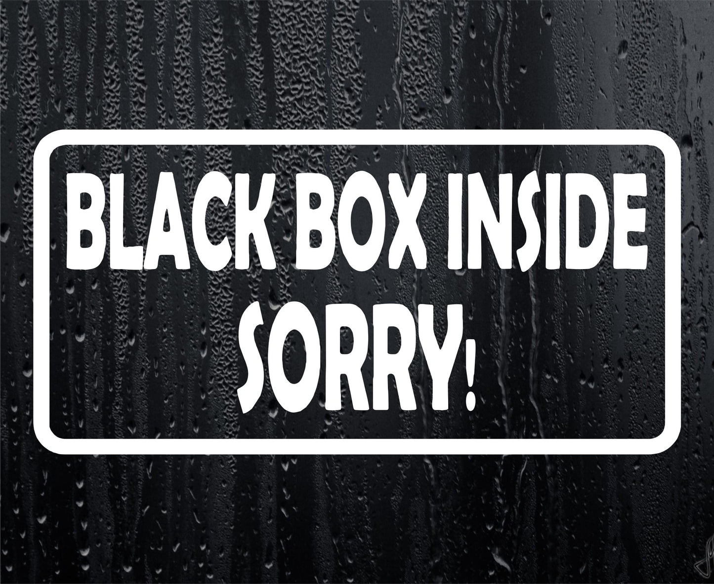 Car Sticker Black Box Inside Sorry Cute Novelty Bumper Van Door Young Driver Decal Present