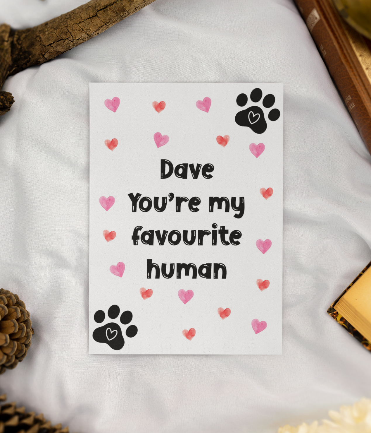 Personalised Greeting Card From The Cat - You're My Favourite Human - Nice Fun Cute Valentine's Day Birthday Hearts Present