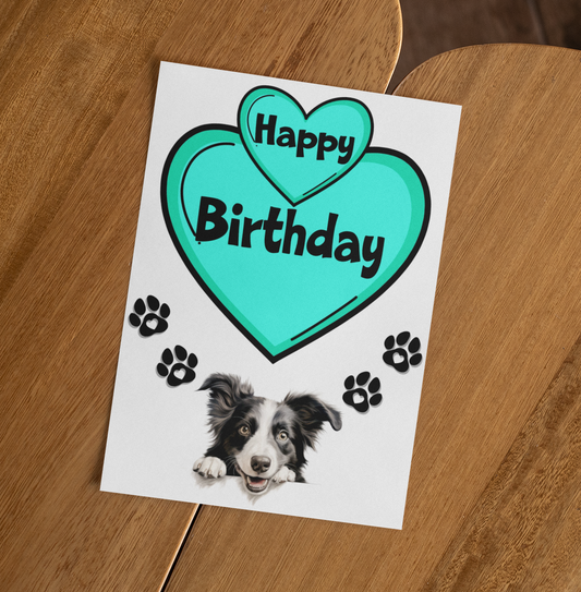 Border Collie Birthday Card - Nice Cute Fun Pet Dog Puppy Owner Novelty Greeting Card
