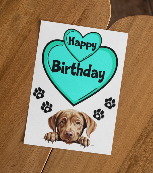 Labrador Retriever Birthday Card - Nice Cute Fun Pet Dog Puppy Owner Novelty Greeting Card