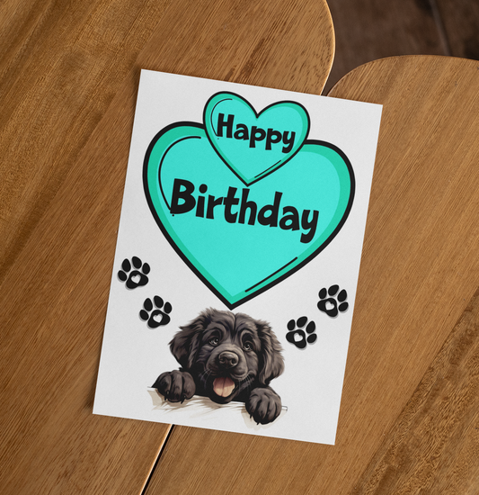 Newfoundland Newfie Birthday Card - Nice Cute Fun Pet Dog Puppy Owner Novelty Greeting Card