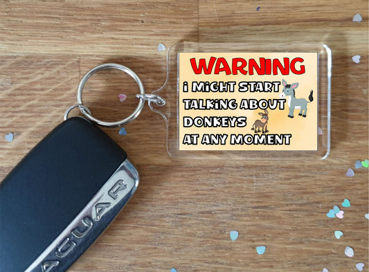 Donkey Keyring Gift - Warning I Might Start Talking About * At Any Moment - Fun Cute Novelty Animal Present