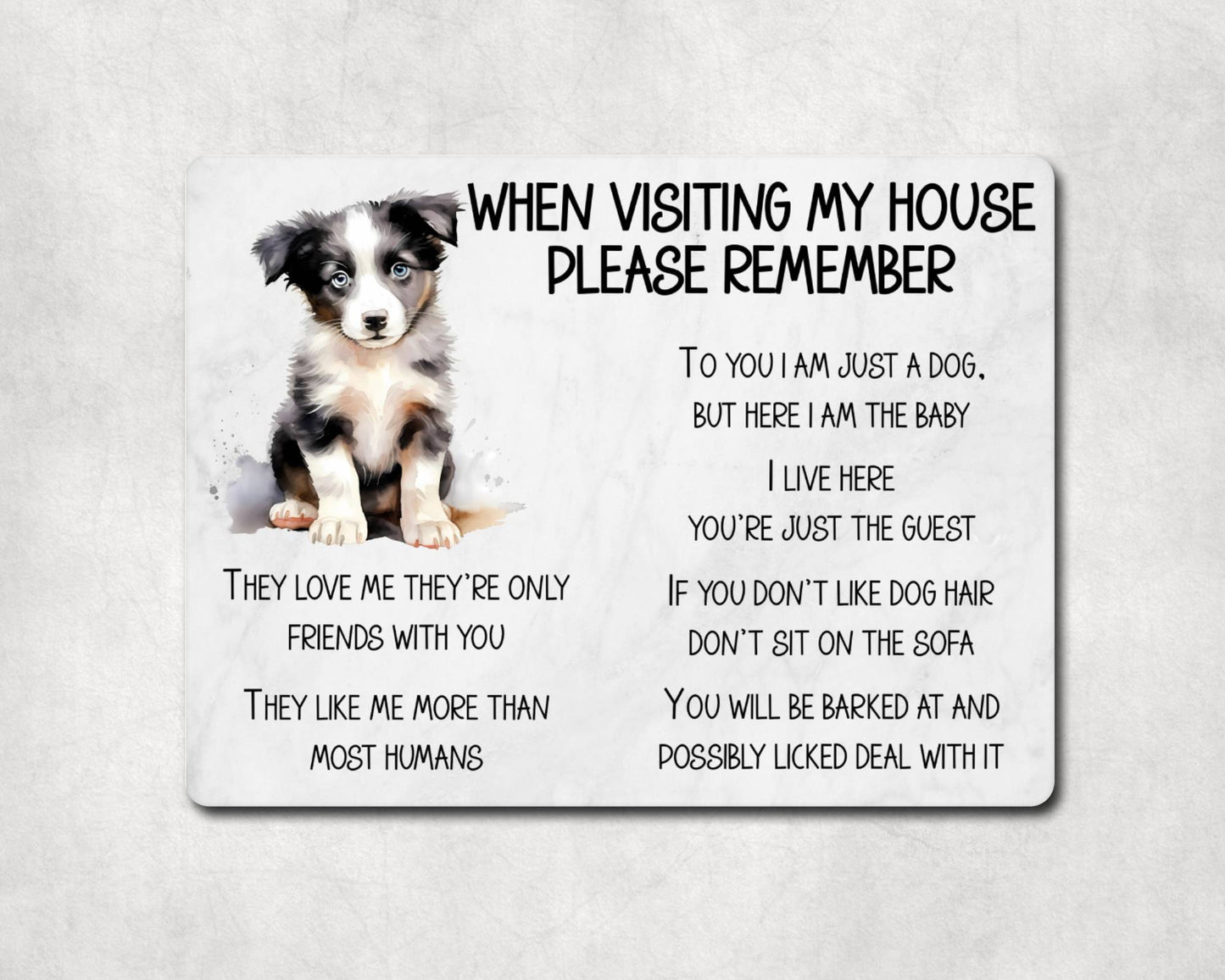 Border Collie Metal Sign Gift - When Visiting My House Please Remember - Cute Fun Novelty Animal Aluminium Present