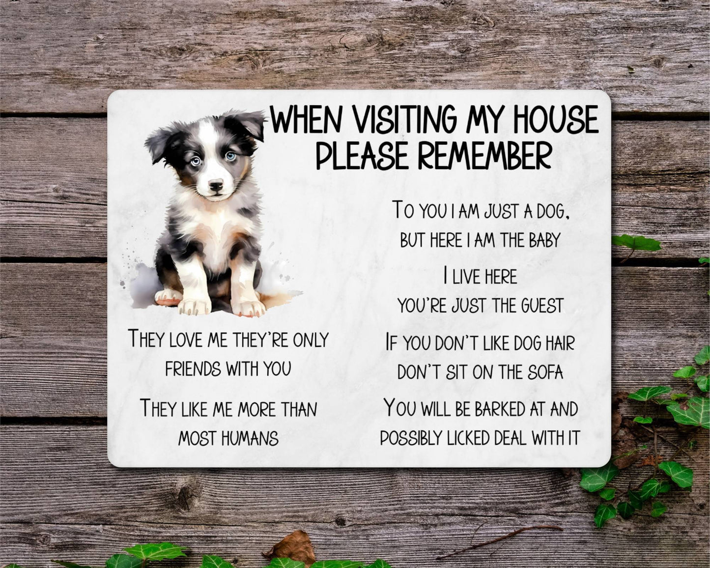 Border Collie Metal Sign Gift - When Visiting My House Please Remember - Cute Fun Novelty Animal Aluminium Present
