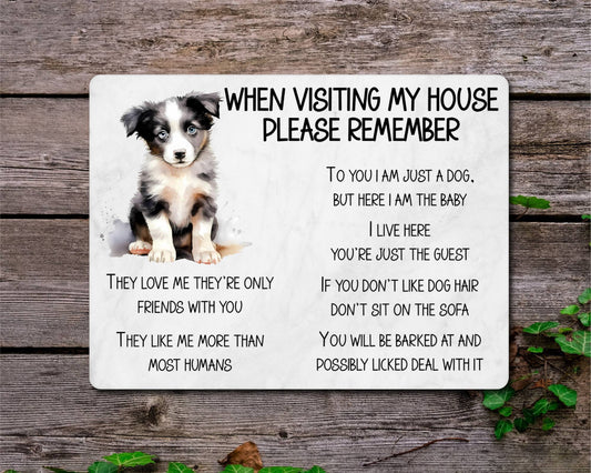 Border Collie Metal Sign Gift - When Visiting My House Please Remember - Cute Fun Novelty Animal Aluminium Present