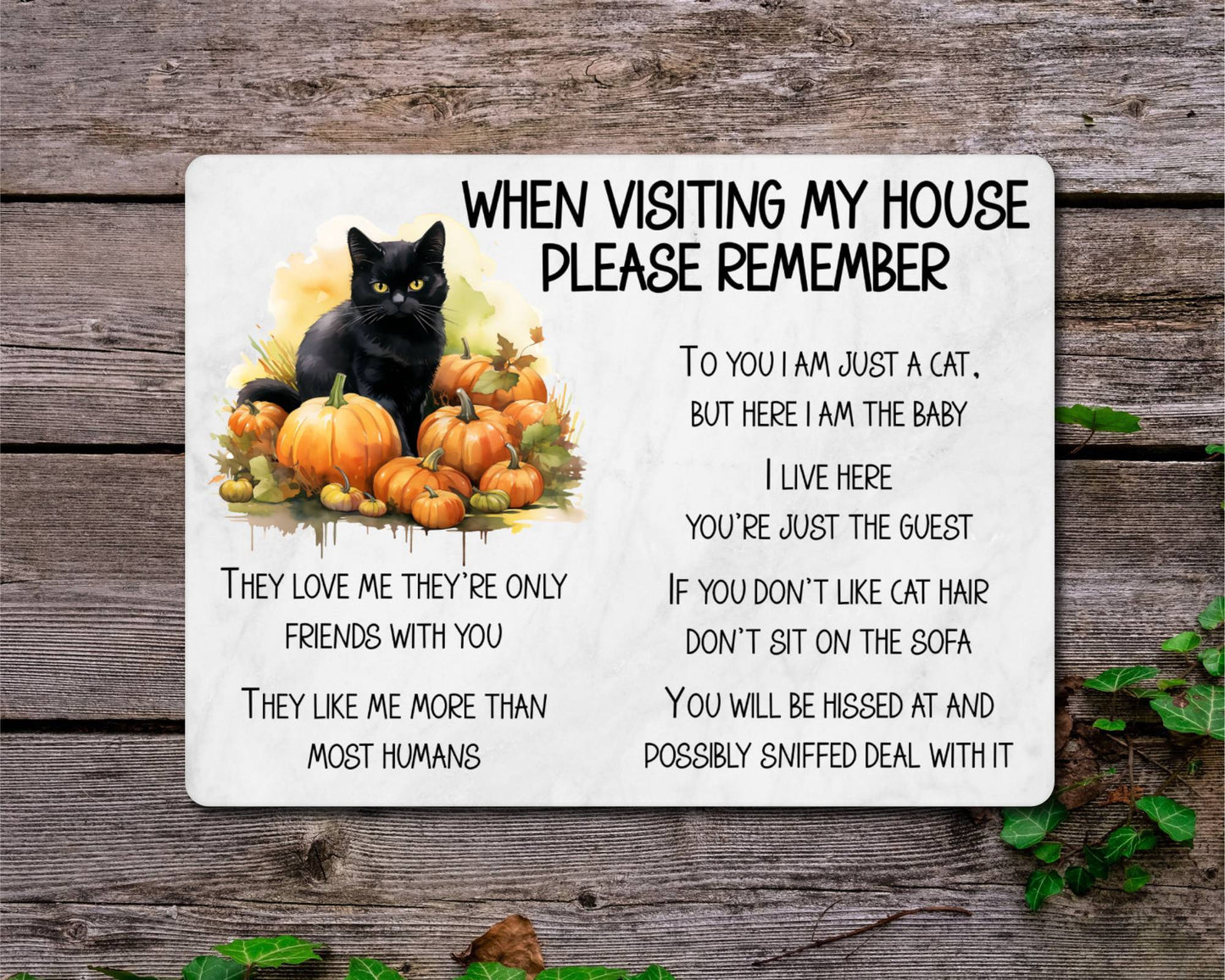 Black Cat Metal Sign Gift - When Visiting My House Please Remember - Cute Fun Novelty Animal Aluminium Present