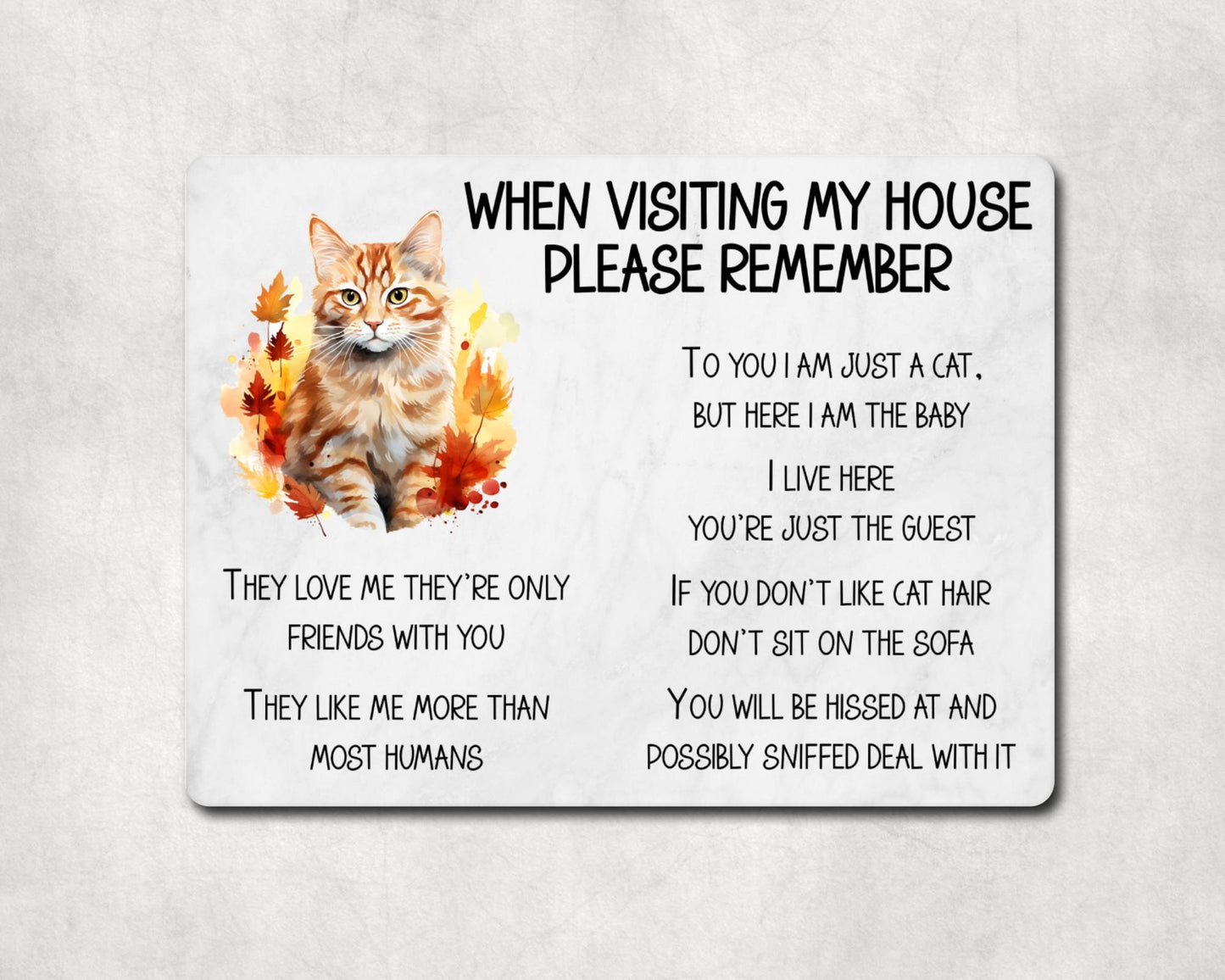 Ginger Cat Metal Sign Gift - When Visiting My House Please Remember - Cute Fun Novelty Animal Aluminium Present