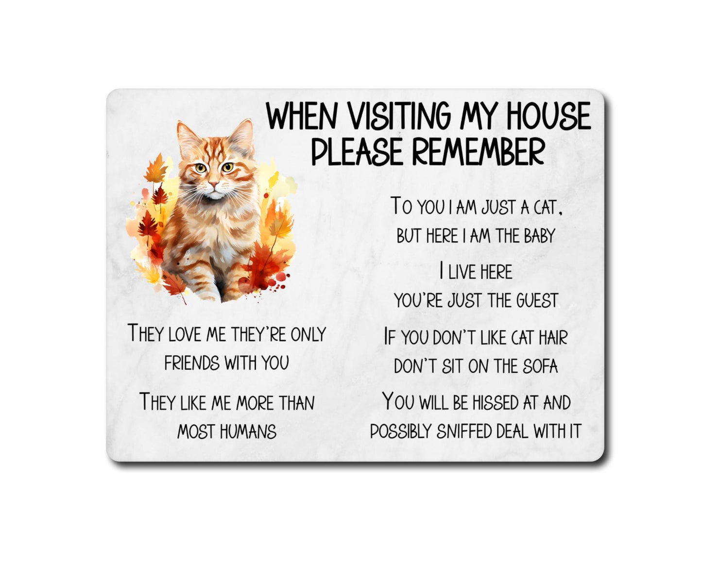 Ginger Cat Metal Sign Gift - When Visiting My House Please Remember - Cute Fun Novelty Animal Aluminium Present